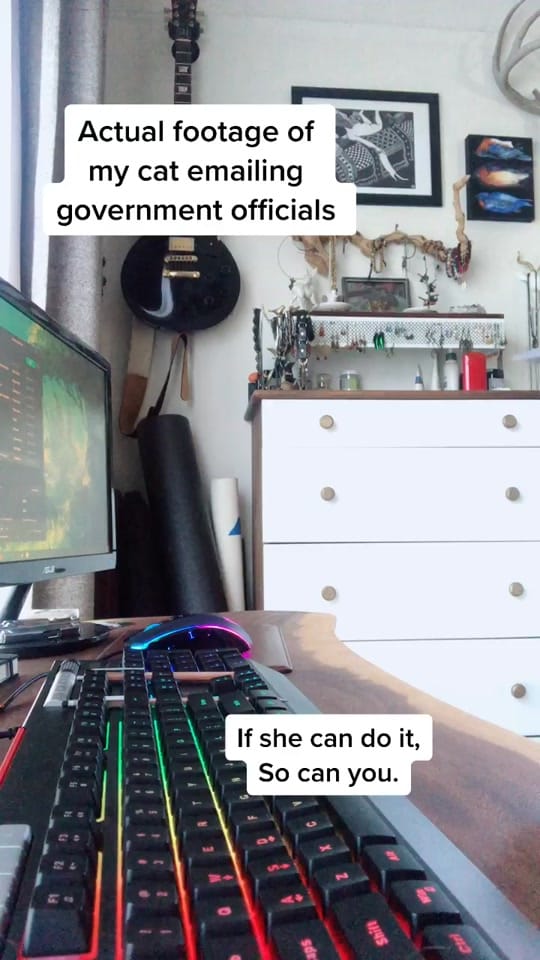 Post 5 by Kendra on TikTok (video)
