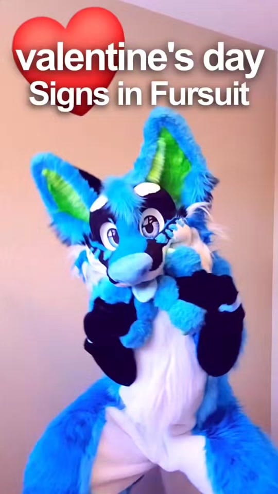Post 1 by XushoWolf on TikTok (video)