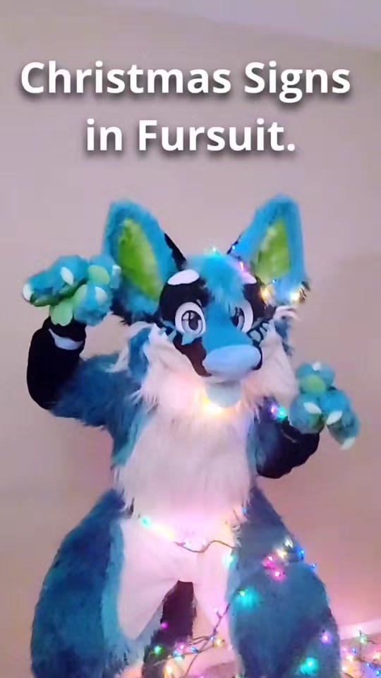 Post 9 by XushoWolf on TikTok (video)
