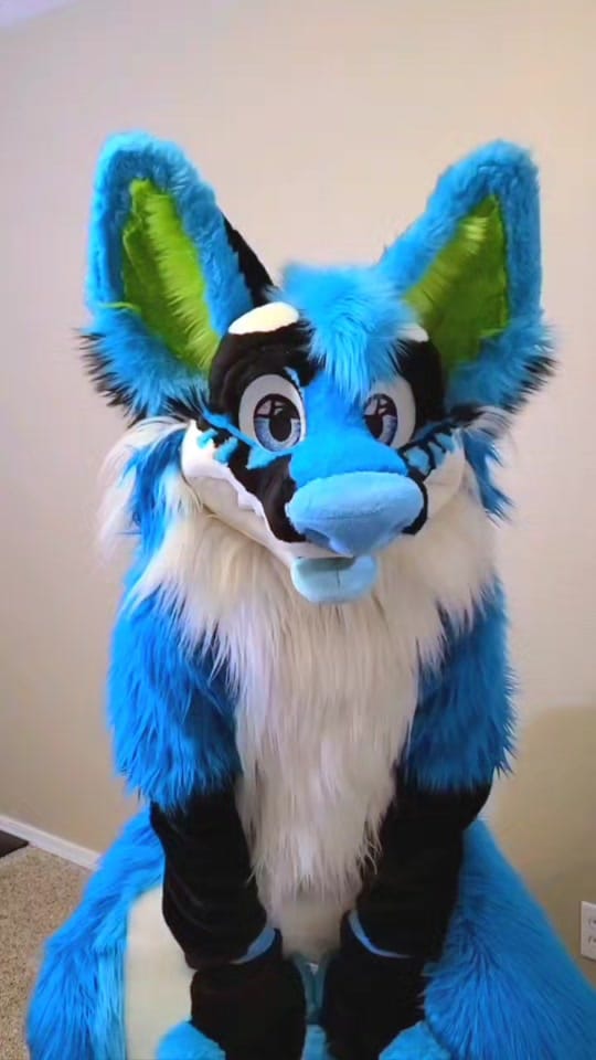 Post 7 by XushoWolf on TikTok (video)