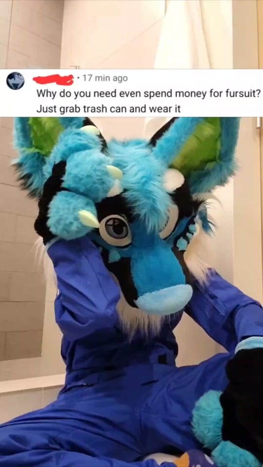 Post 3 by XushoWolf on TikTok (video)