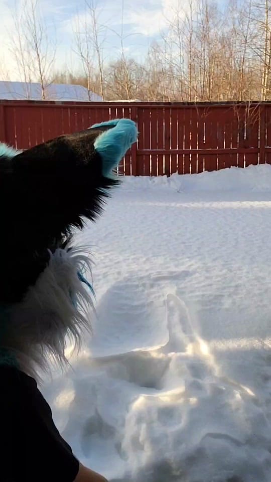 Post 2 by XushoWolf on TikTok (video)