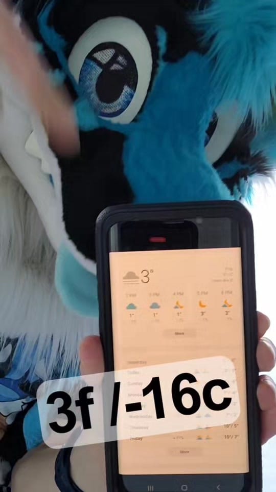 Post 10 by XushoWolf on TikTok (video)