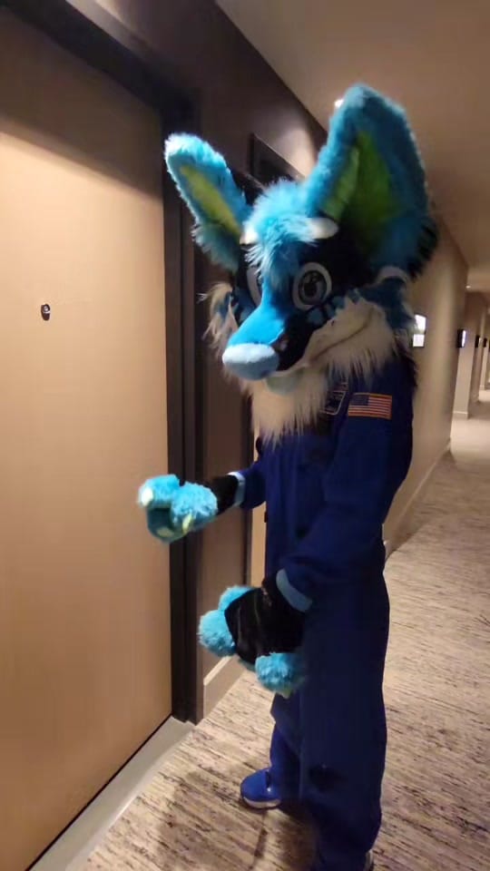 Post 5 by XushoWolf on TikTok (video)