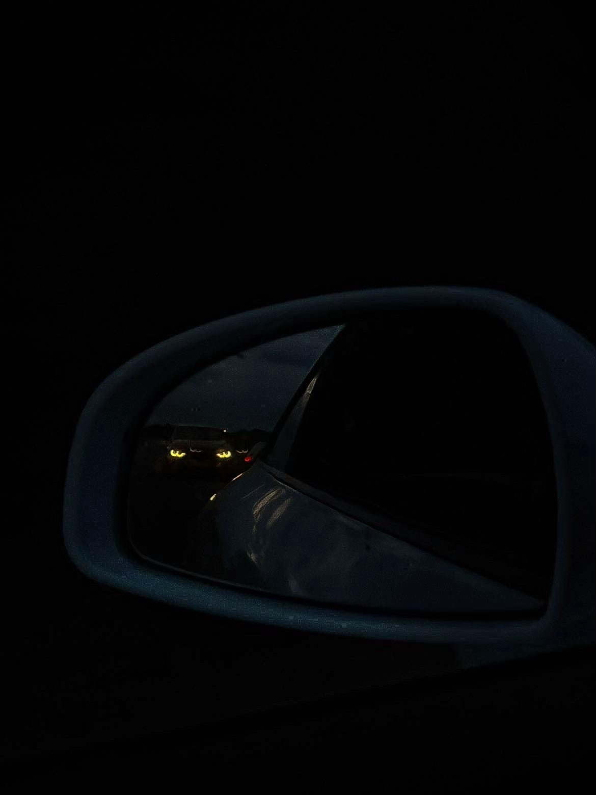 Post 1 by northern_beemer on TikTok (video)