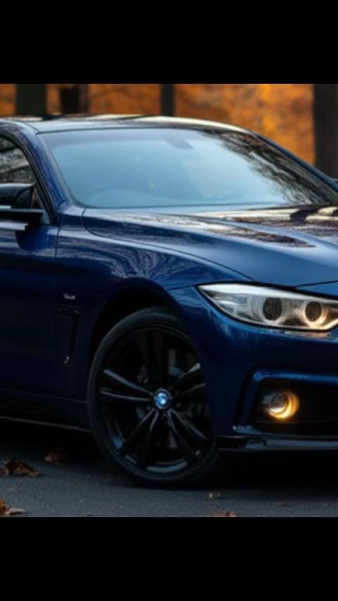 Post 9 by northern_beemer on TikTok (video)