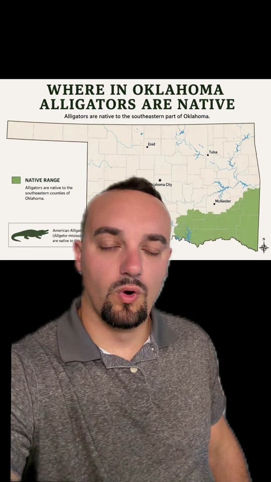 Post 7 by floridadallas on TikTok (video)