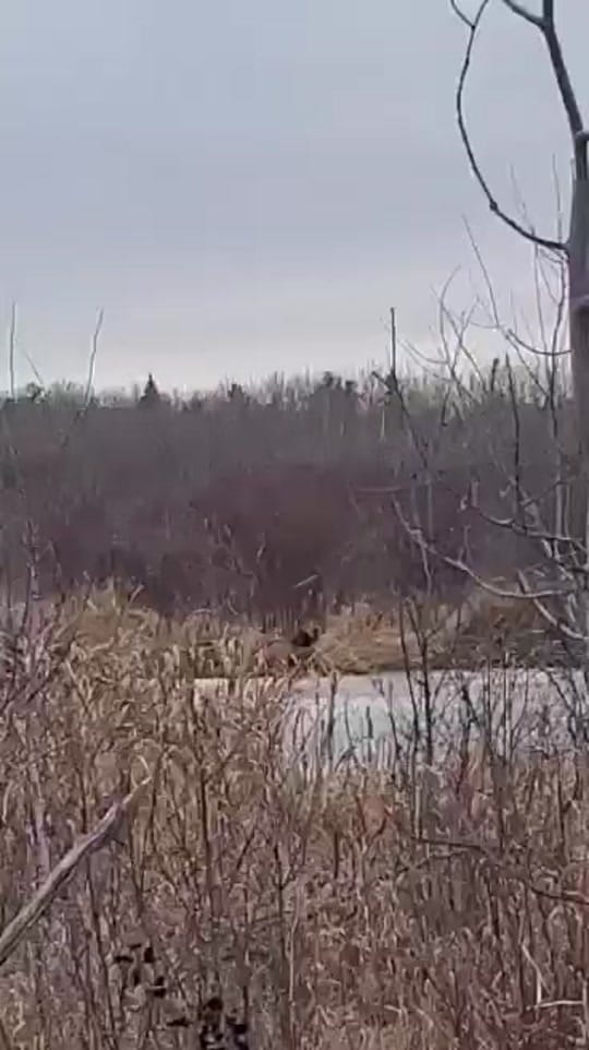 Post 9 by Rthem82 on TikTok (video)