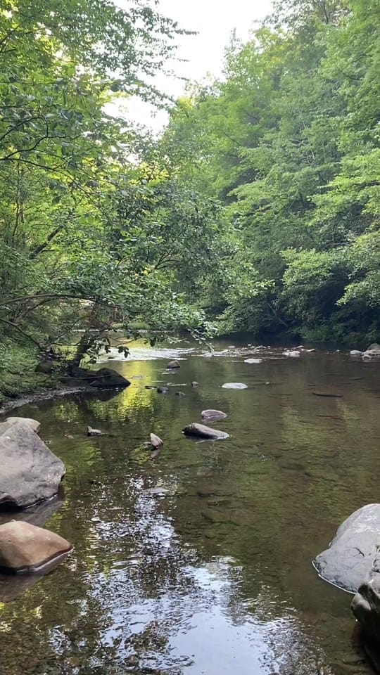 Post 2 by 🌼 Tammy 🌼 on TikTok (video)