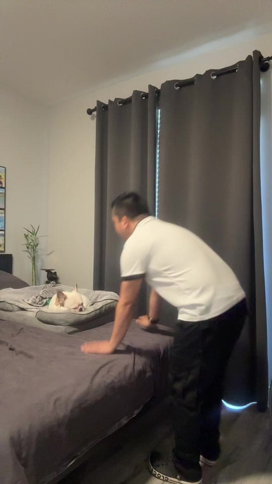 Post 5 by Brence and ToBi🐾 on TikTok (video)
