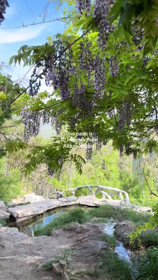 Post 5 by Jacob - UNXPCTD NM on TikTok (video)