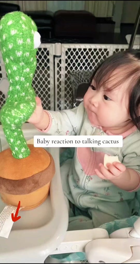 Post 10 by George on TikTok (video)