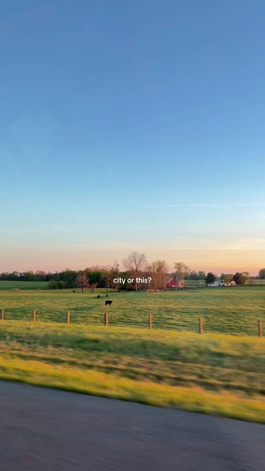 Post 2 by Leahamoore on TikTok (video)