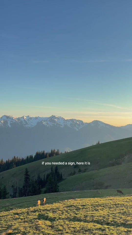 Post 5 by Leahamoore on TikTok (video)