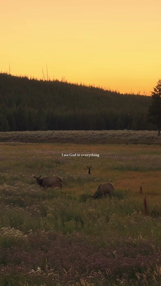 Post 9 by Leahamoore on TikTok (video)