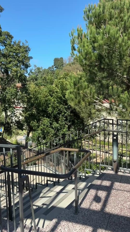 Post 7 by brittanysmason on TikTok (video)
