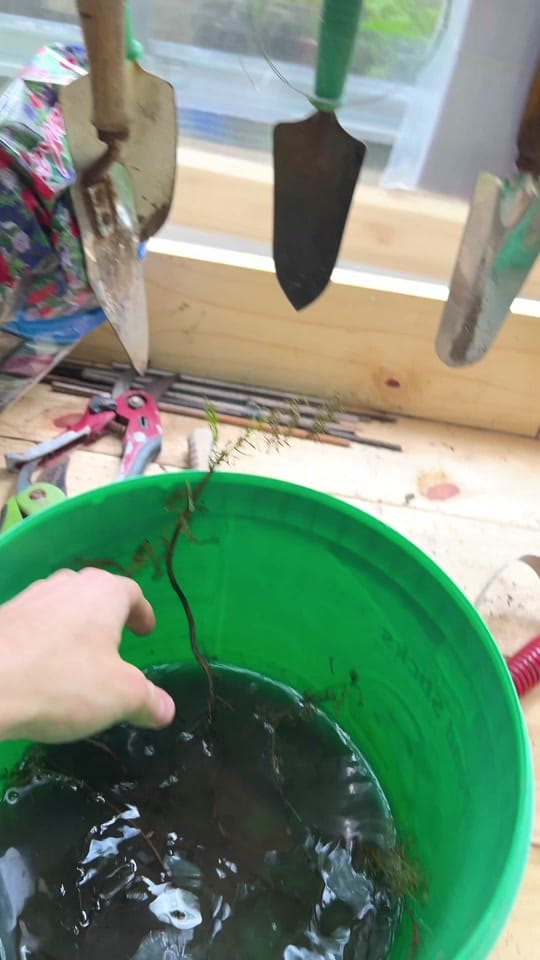 Post 5 by Noah Race on TikTok (video)