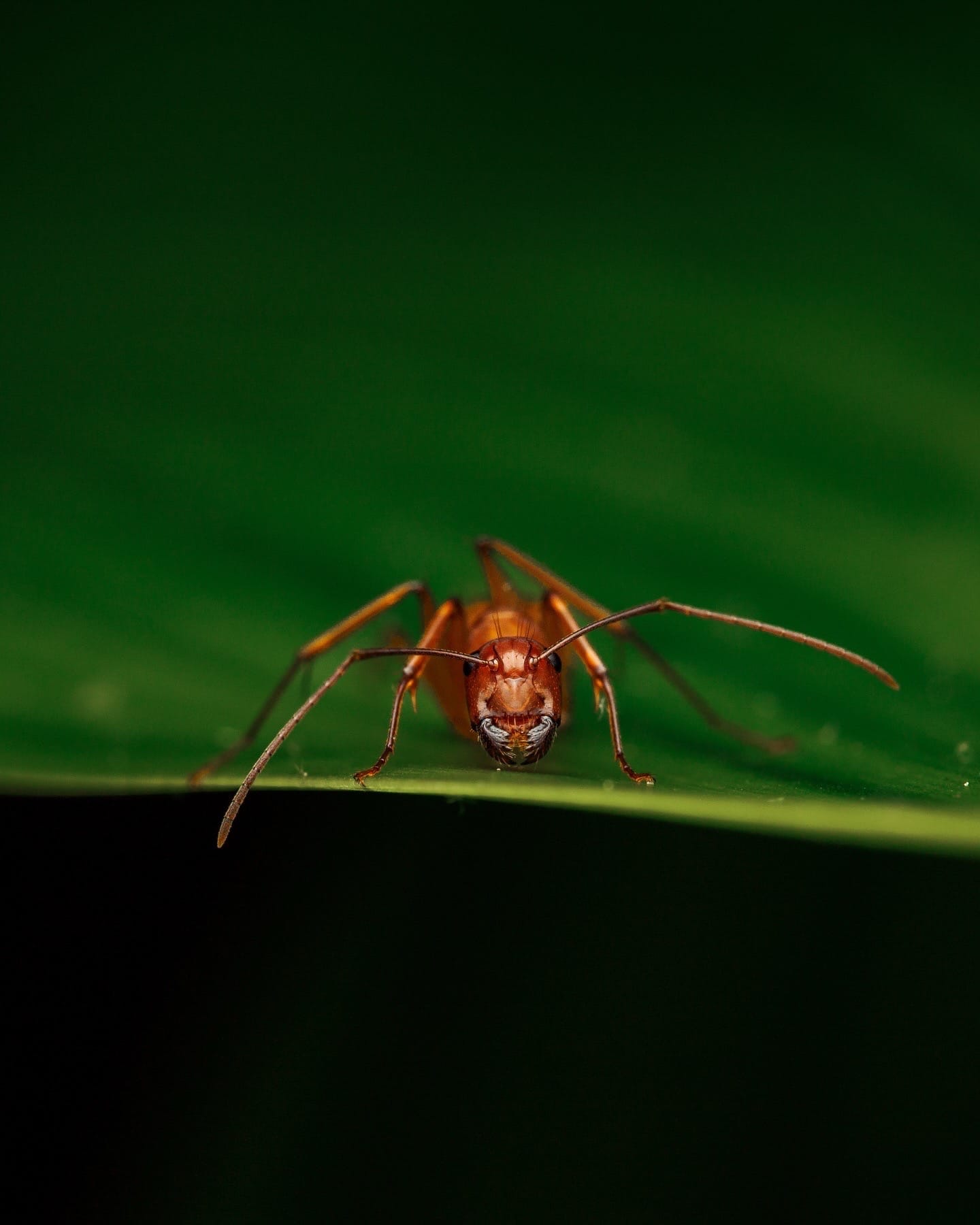 Post 4 by Noah Race on TikTok (video)