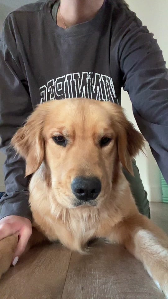 Post 6 by dessamberg on TikTok (video)