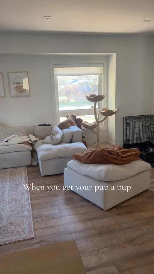Post 7 by dessamberg on TikTok (video)