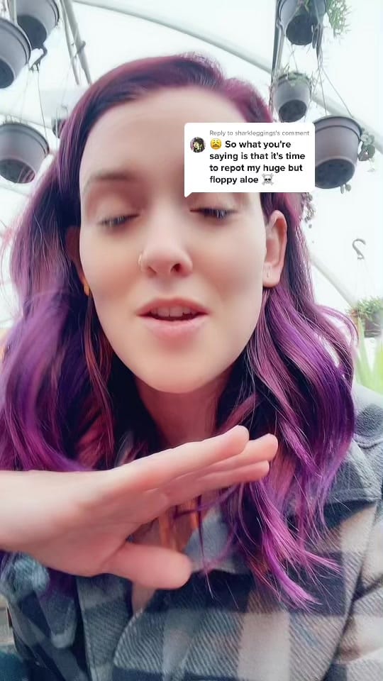 Post 10 by Faith Greenhouses 🪴 on TikTok (video)