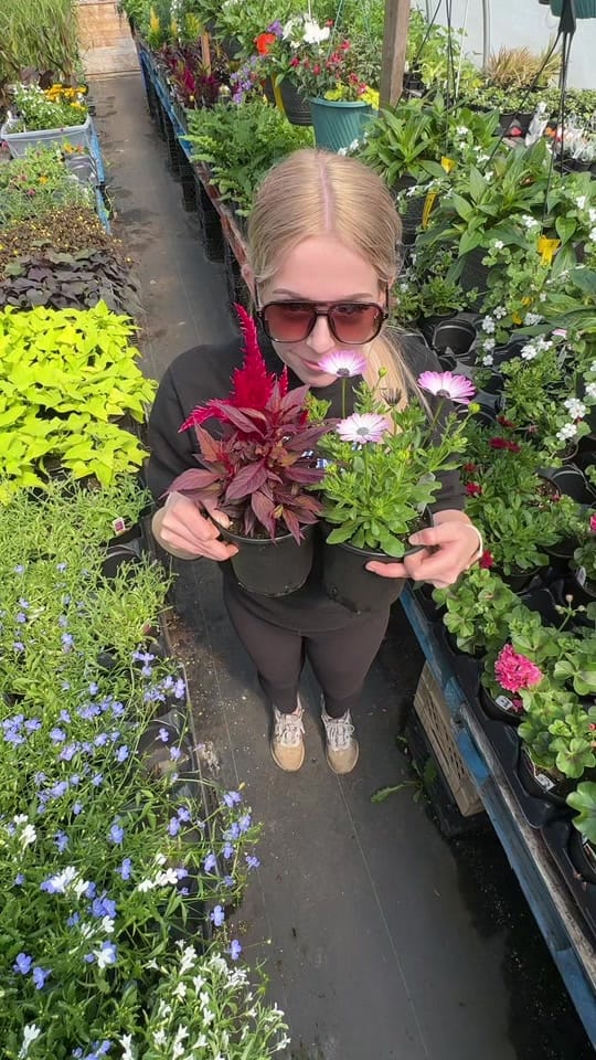 Post 4 by Faith Greenhouses 🪴 on TikTok (video)
