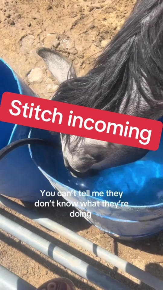 Post 2 by Becki Bold on TikTok (video)