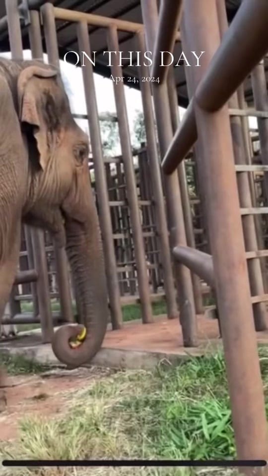 Post 8 by Becki Bold on TikTok (video)