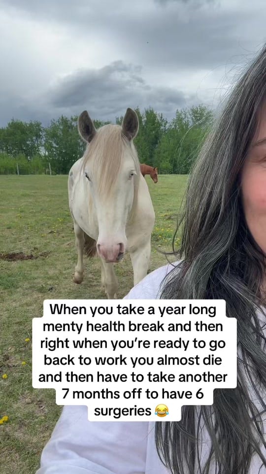 Post 5 by Becki Bold on TikTok (video)
