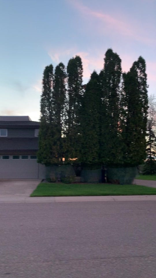 Post 4 by canadalife on TikTok (video)