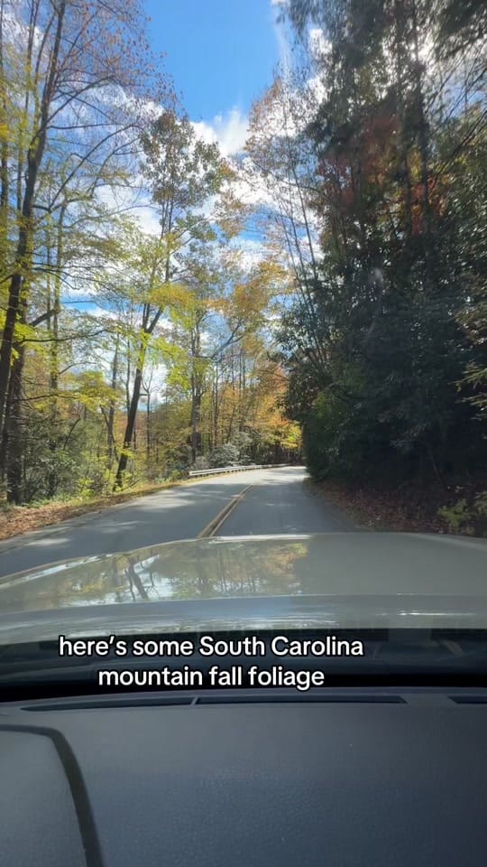Post 6 by bowlofquesodip on TikTok (video)