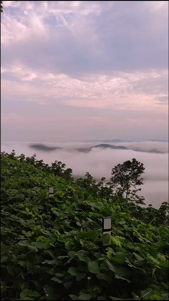 Post 9 by Nithin Kishor on TikTok (video)