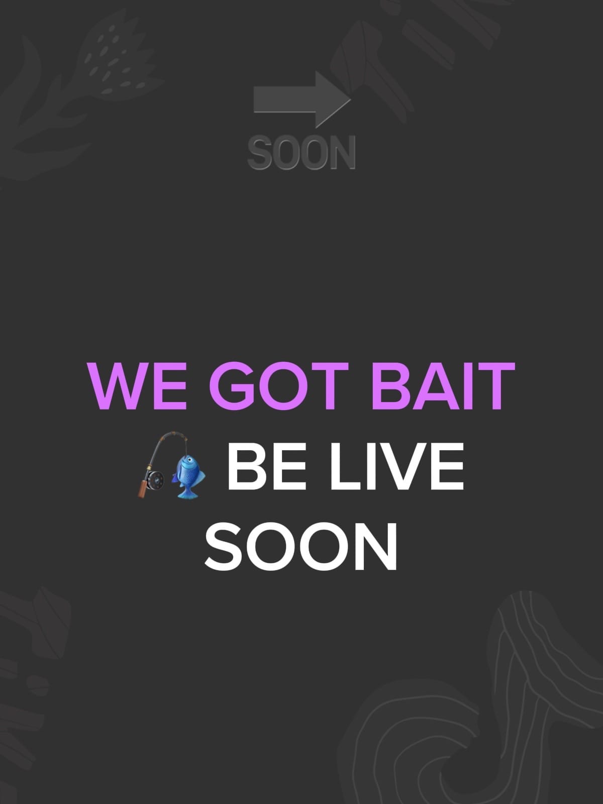 Post 3 by dillyydoes on TikTok (video)