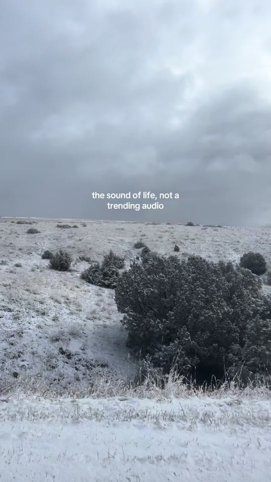 Post 1 by Claire on TikTok (video)
