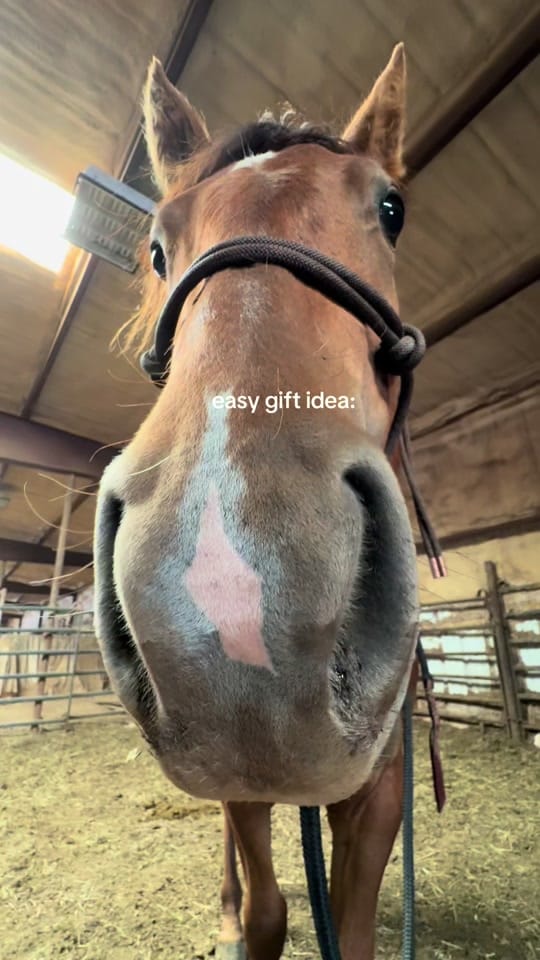 Post 8 by Claire on TikTok (video)