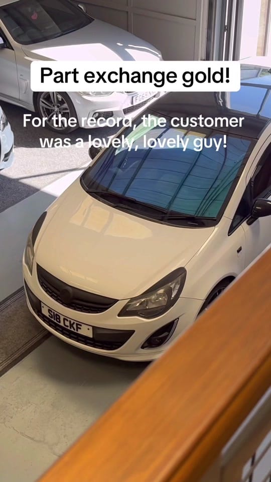 Post 8 by THE LOGBOOK on TikTok (video)