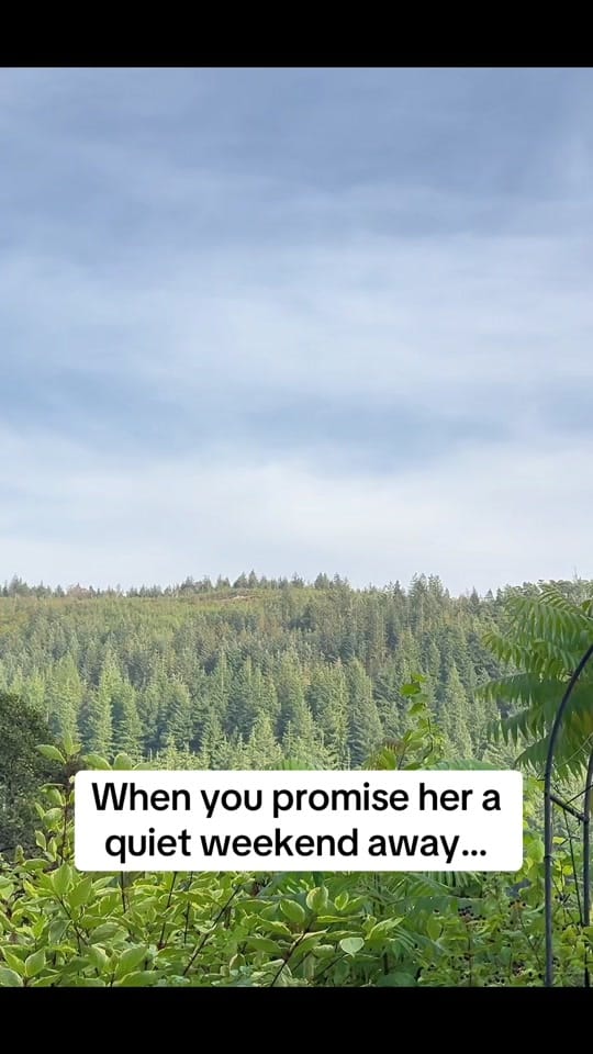 Post 4 by THE LOGBOOK on TikTok (video)