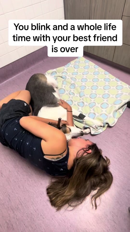 Post 3 by Nash on TikTok (video)
