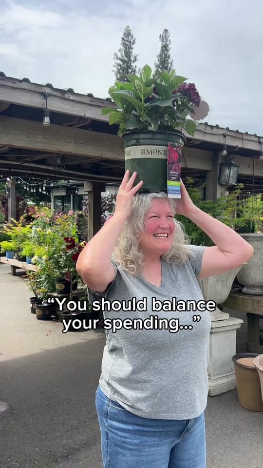 Post 4 by Art’s Nursery on TikTok (video)