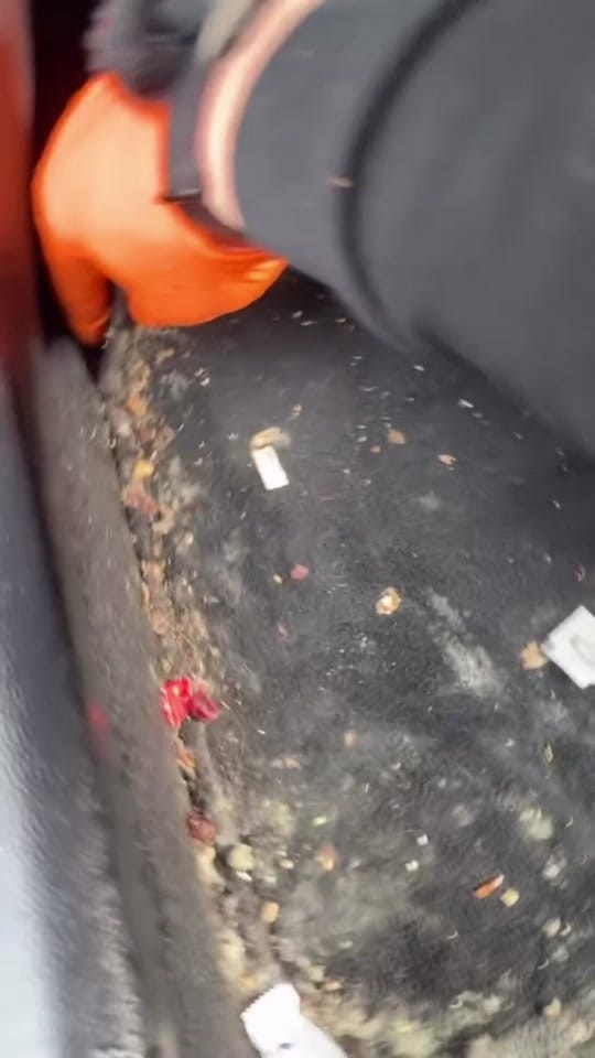 Post 5 by Cutting Edge Details on TikTok (video)