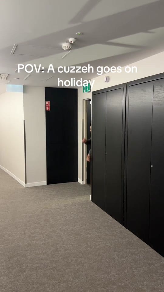 Post 5 by Jeevz on TikTok (video)