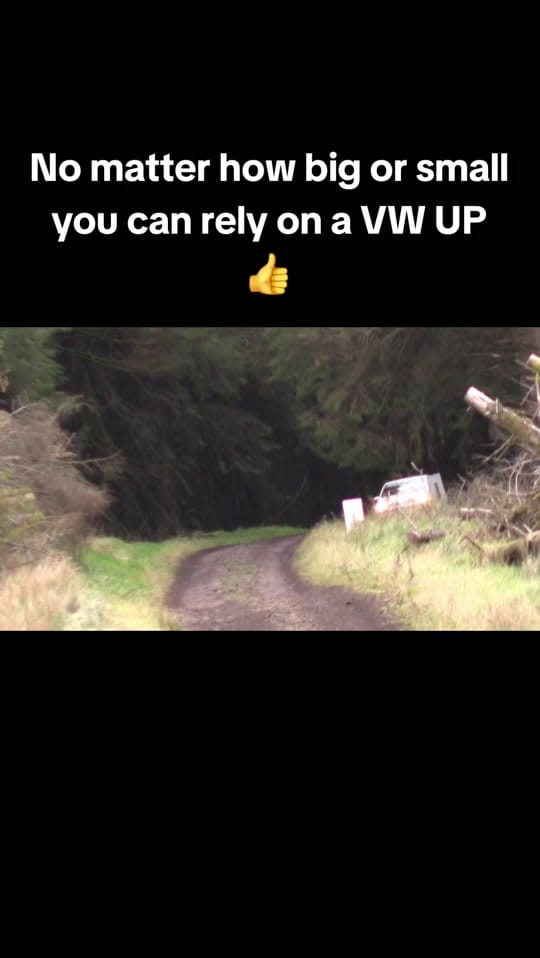 Post 8 by The Motorsport Hub on TikTok (video)