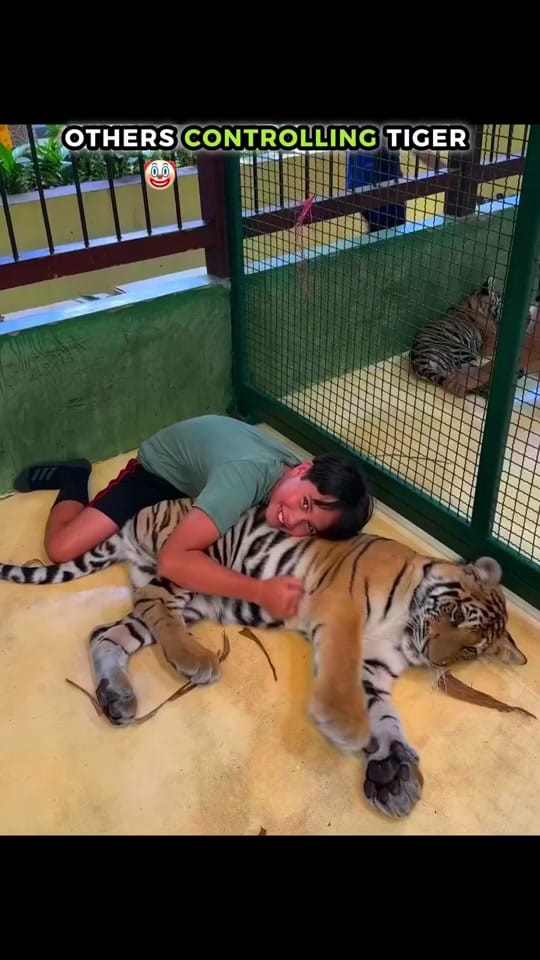Post 9 by LaughCG on TikTok (video)