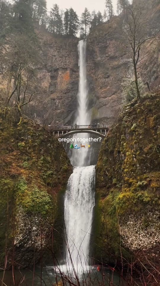 Post 8 by Ethel on TikTok (video)
