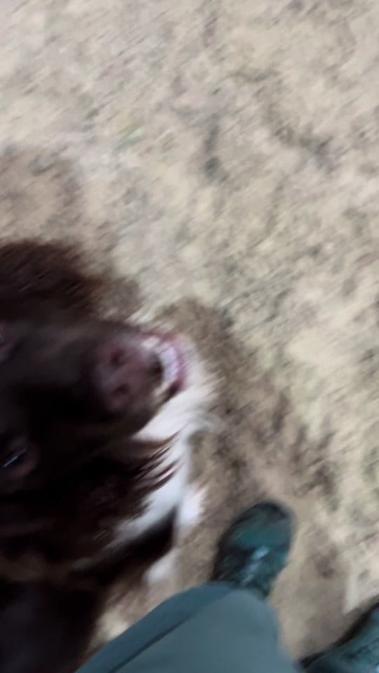 Post 5 by Naomi Thomas on TikTok (video)