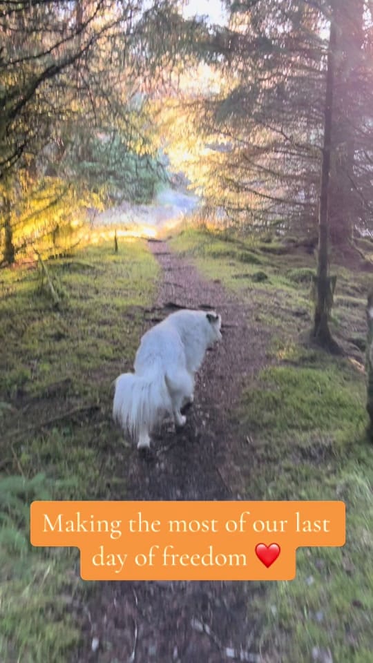 Post 7 by Naomi Thomas on TikTok (video)