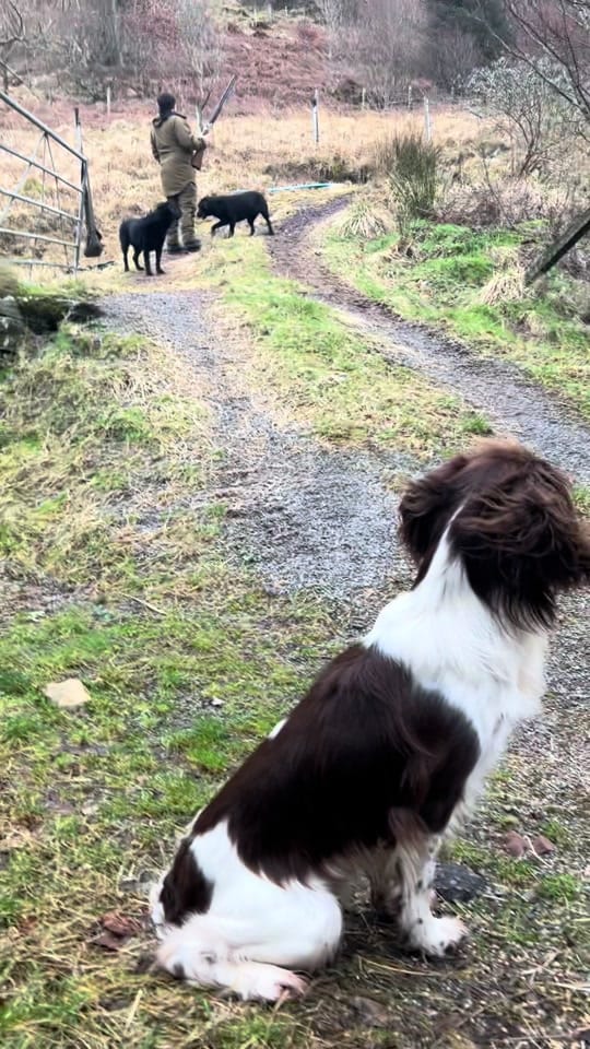 Post 3 by Naomi Thomas on TikTok (video)