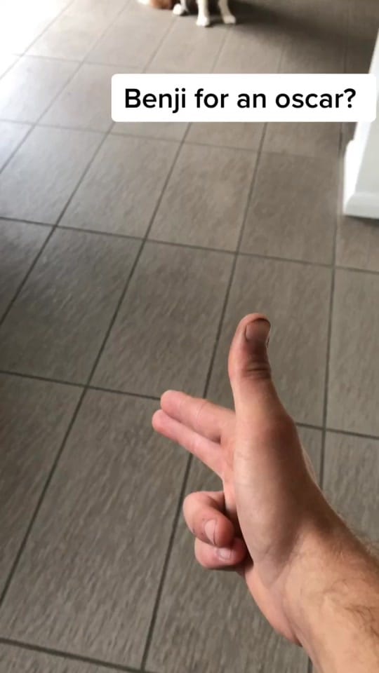 Post 7 by joewakes94 on TikTok (video)