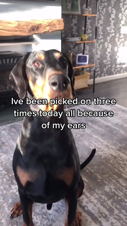 Post 1 by joewakes94 on TikTok (video)