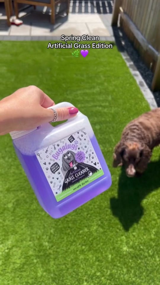Post 9 by Bugalugs Pet Care on TikTok (video)